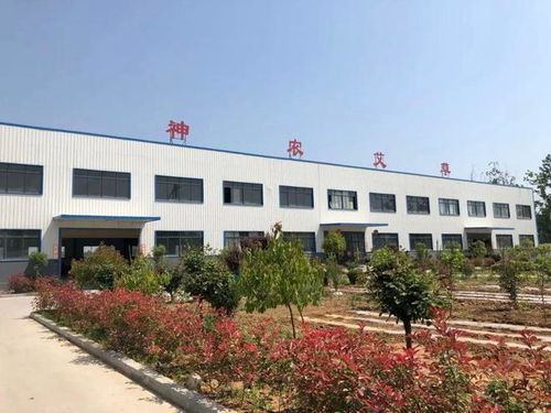 宛艾領航 神農艾草攜生態全系制劑亮相中國艾博會，定位化學藥應用新場景